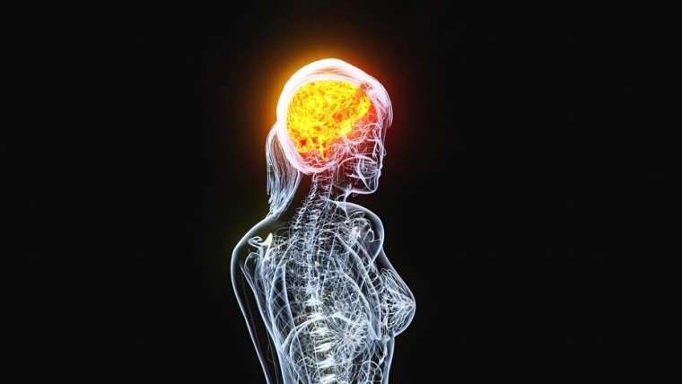 Belly Fat Could Predict Risk of Alzheimer