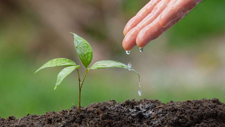 Protect Your Family from Environmental Health Risks in Texas