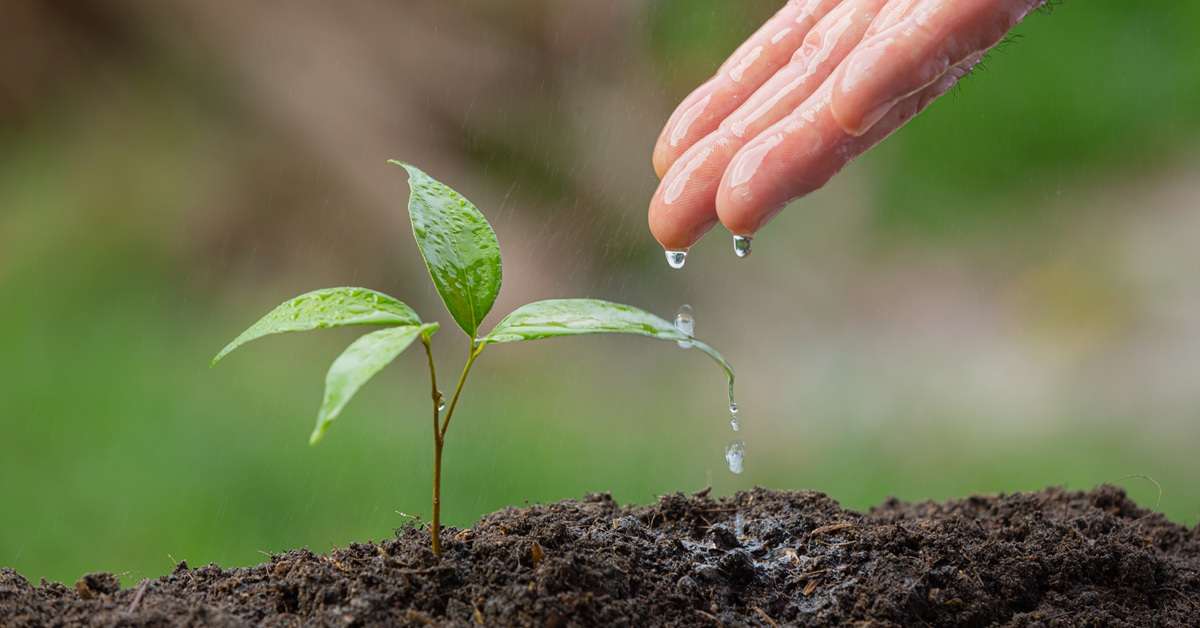 Protect Your Family from Environmental Health Risks in Texas